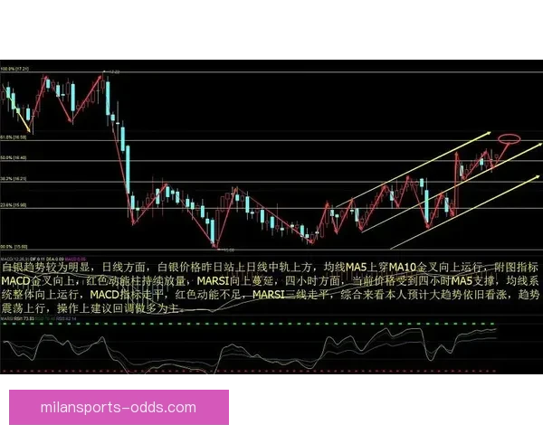 世界杯竞猜盘口分析与投注策略深度解析助力预测精准决策
